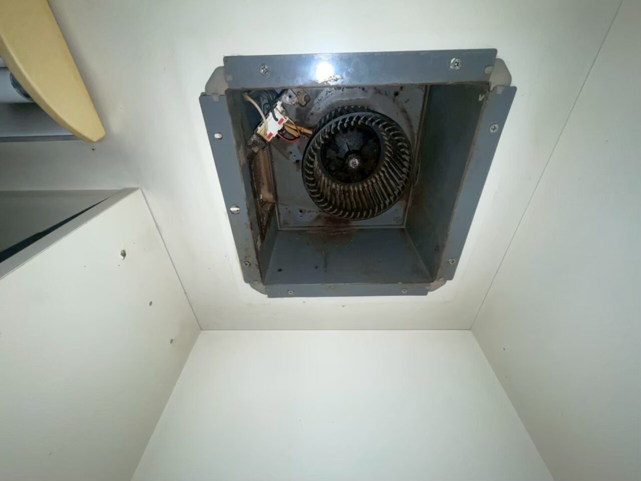 換気扇内部のシロッコファンを取り外した状態を写した写真｜油汚れが蓄積した換気扇内部